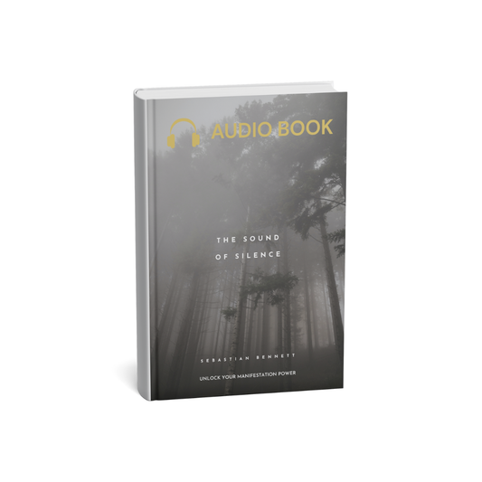 Sound Of Silence Audiobook